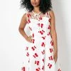 Voodoo Vixen Fanny Ann Cherry Embroidery Dress